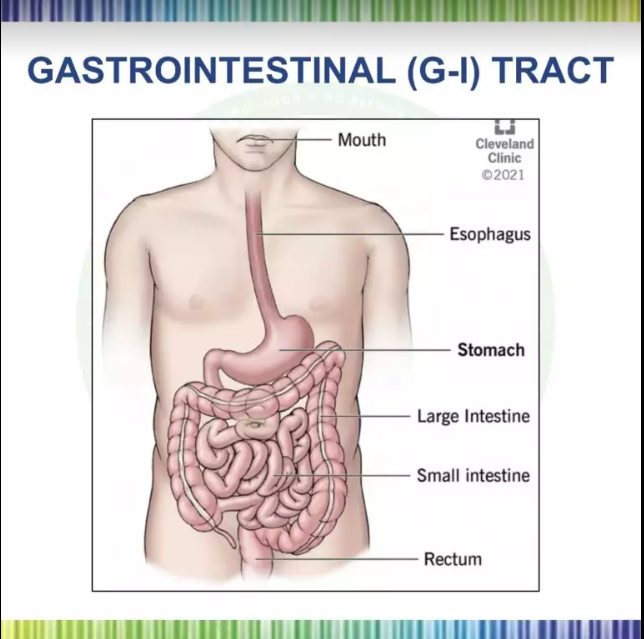 Basics of Physiology